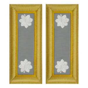 US Army Finance Lieutenant Colonel Shoulder Boards - For Female Uniforms US Army Finance Lieutenant Colonel Shoulder Boards - For Female Uniforms