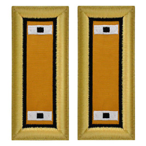 US Army Electronic Warfare Warrant Officer 1 Shoulder Boards - For Female Uniforms US Army Electronic Warfare Warrant Officer 1 Shoulder Boards - For Female Uniforms