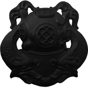 1st Class Diver Badge 1st Class Diver Badge