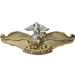Navy Fleet Marine Force Chaplain Badge Navy Fleet Marine Force Chaplain Badge