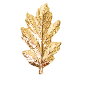 US Navy Nurse Corps Collar Device featuring oak leaf - gold
US Navy Nurse Corps Collar Device featuring oak leaf - gold