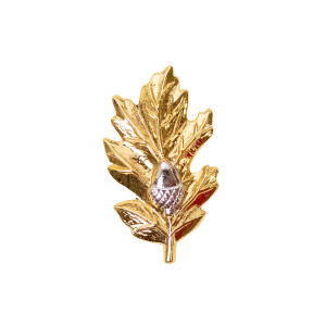 US Navy Medical Corps Collar Device with gold oak leaf and silver acorn - gold
US Navy Medical Corps Collar Device with gold oak leaf and silver acorn - gold