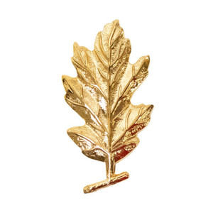 US Navy Medical Service Collar Device featuring gold oak leaf - gold US Navy Medical Service Collar Device featuring gold oak leaf - gold
