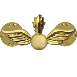 US Navy Aviation Ordinance Technician Collar Device US Navy Aviation Ordinance Technician Collar Device
