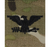 Colonel Rank Slide On for Gore-Tex Jacket OCP / SCORPION / MULTICAM military uniform. Worn by Army
