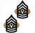 Army chevron rank: Hard Corps subdued metal finish: Enlisted: Command Sergeant Major (E-9).

