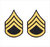 ARMY CHEVRON: STAFF SERGEANT - DRESS BLUE, MALE