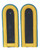 East German BG/Aviation Master Shoulder Boards