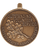 Outstanding Volunteer Service Medal