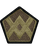 55th Sustainment Brigade MultiCam (OCP) Velcro Patch