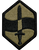 460th Chemical Brigade MultiCam (OCP) Velcro Patch