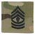 First Sergeant Rank (E8) Scorpion OCP/Multicam - Velcro w/Hook Back