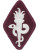 Medical School Class A Full Color Shoulder Sleeve Insignia Patch