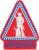 National Guard Recruiting Retention Class A Full Color Shoulder Sleeve Insignia Patch