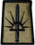 New York National Guard Scorpion OCP Velcro patch subdued Army National Guard shoulder sleeve insignia