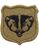 Wisconsin National Guard Scorpion OCP velcro patch Army National Guard shoulder sleeve insignia Wisconsin NG state unit patch WING