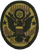 National Guard Civil Support Team Scorpion OCP velcro patch WMD response unit shoulder sleeve insignia CST patch