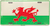 WALES LICENSE PLATE
