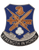 1st Brigade, 101st Airborne Division, Special Troops Battalion Unit Crest