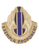 11th Aviation Unit Crest