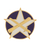 85th Civil Affairs Brigade Unit Crest