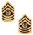 USA Made Command Sergeant Major Corps Gold Pin-On Rank with Black Enamel - Sold as Pair