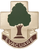 115th Field Hospital Unit Crest
