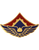 123rd Aviation Unit Crest U.S. Army