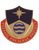 203rd Personnel Service Battalion Unit Crest 203rd Personnel Service Battalion Unit Crest