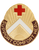 352nd Combat Support Hospital Unit Crest 352nd Combat Support Hospital Unit Crest