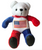 U.S.A. TEDDY BEAR