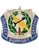 373rd Military Intelligence Battalion Unit Crest Collect Support Defend