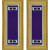 U.S. Army Civil Affairs Warrant Officer 2 Shoulder Boards - For Male Uniforms U.S. Army Civil Affairs Warrant Officer 2 Shoulder Boards - For Male Uniforms