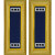 U.S. Army Chemical Warrant Officer 3 Shoulder Boards - For Male Uniforms U.S. Army Chemical Warrant Officer 3 Shoulder Boards - For Male Uniforms