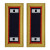 U.S. Army Adjutant General Warrant Officer 1 Shoulder Boards - For Male Uniforms U.S. Army Adjutant General Warrant Officer 1 Shoulder Boards - For Male Uniforms