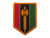 302nd Man Enhancement Brigade Full Color Patch