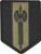 302nd Maneuver Enhancement Brigade OCP Multicam patch for Army combat uniforms