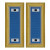 U.S. Army Military Intelligence Warrant Officer 1 Shoulder Boards - For Female Uniforms U.S. Army Military Intelligence Warrant Officer 1 Shoulder Boards - For Female Uniforms