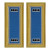 U.S. Army Military Intelligence Warrant Officer 4 Shoulder Boards - For Female Uniforms U.S. Army Military Intelligence Warrant Officer 4 Shoulder Boards - For Female Uniforms