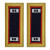 U.S. Army Adjutant General Warrant Officer 2 Shoulder Boards - For Female Uniforms U.S. Army Adjutant General Warrant Officer 2 Shoulder Boards - For Female Uniforms