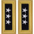 U.S. Army Lieutenant General Shoulder Boards - For Female Uniforms U.S. Army Lieutenant General Shoulder Boards - For Female Uniforms