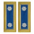 U.S. Army Military Intelligence Lieutenant Colonel Shoulder Boards - For Female Uniforms