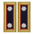 U.S. Army Adjutant General Lieutenant Colonel Shoulder Boards - For Female Uniforms U.S. Army Adjutant General Lieutenant Colonel Shoulder Boards - For Female Uniforms