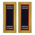 U.S. Army Adjutant General Warrant Officer 4 Shoulder Boards - For Female Uniforms U.S. Army Adjutant General Warrant Officer 4 Shoulder Boards - For Female Uniforms