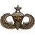 Senior Parachutist Badge - Fifth Award Senior Parachutist Badge - Fifth Award