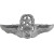 Master Air Force Astronaut Badge Master Air Force Astronaut Badge