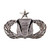 Regulation Air Force Command and Control Badge senior occupational badge