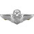 Air Force Air Battle Manager Badge