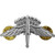 Basic Halo Wings Badge