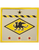 13th Finance Group Combat Service Identification Badge